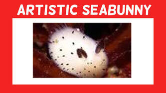 Artistic SeaBunny Artistic SeaBunny